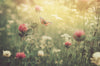 Learning To Love Lymphedema